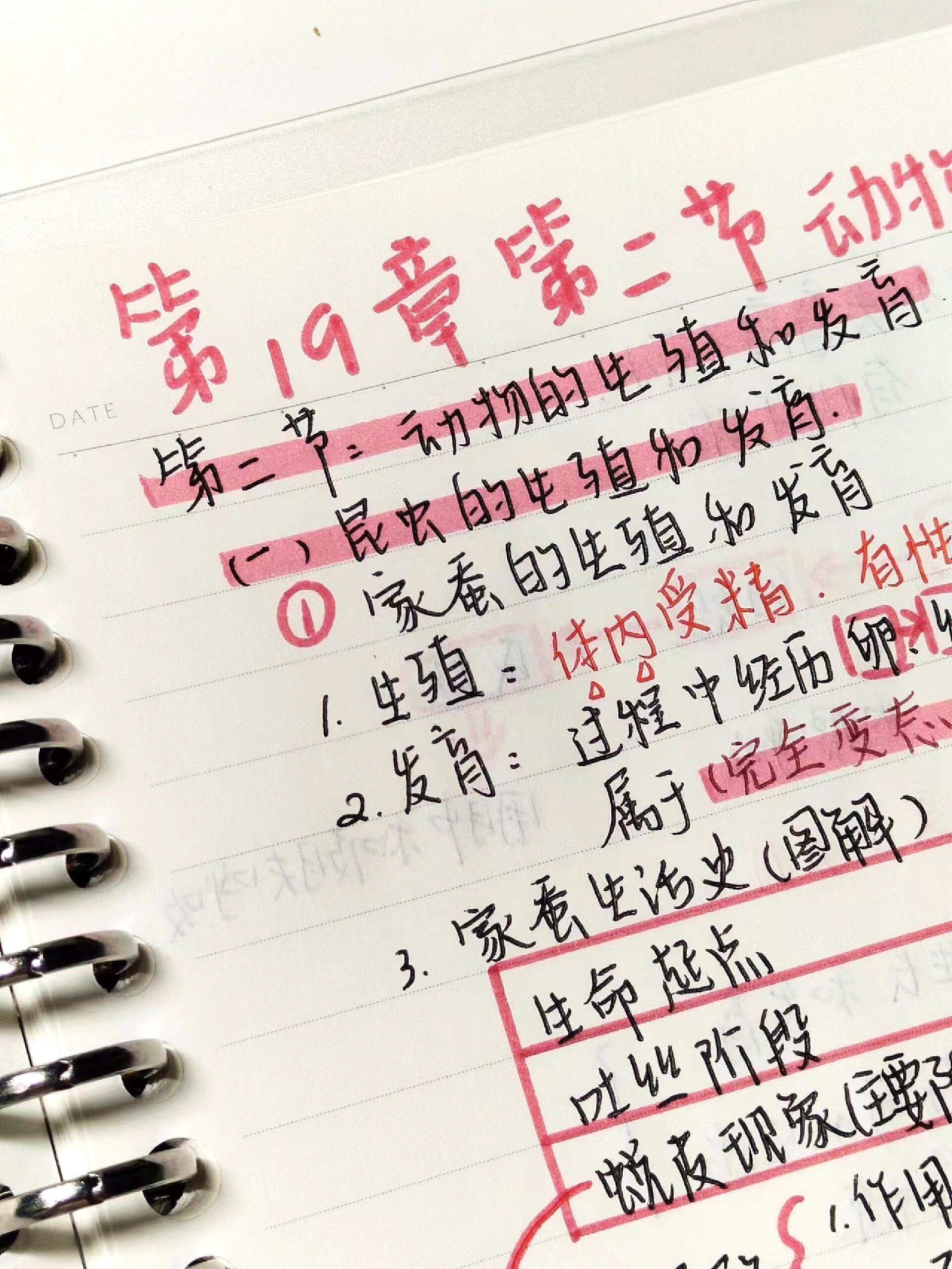八上生物第19章第二节Ⅰ动物的生殖和发育