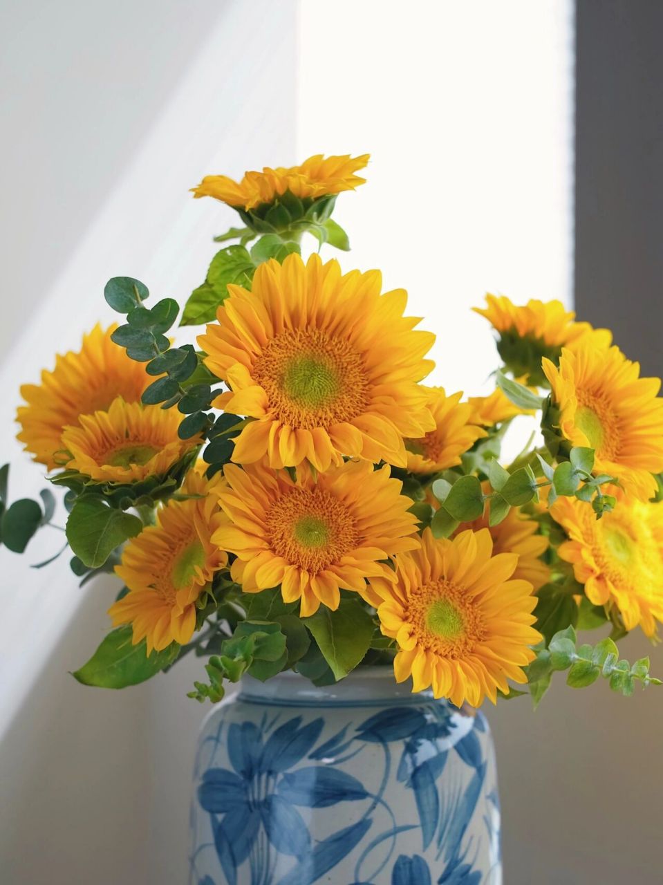 插花98|向阳而生—两步轻松get向日葵花 循梦而行,向阳而生 教师节