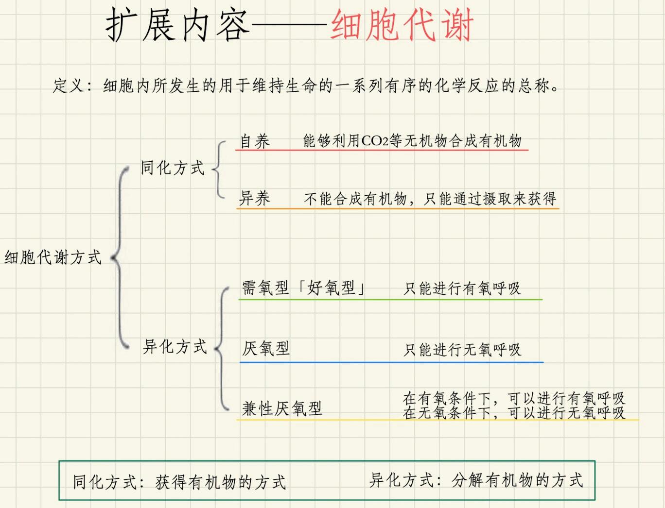 重点扩展～细胞代谢,同化,异化