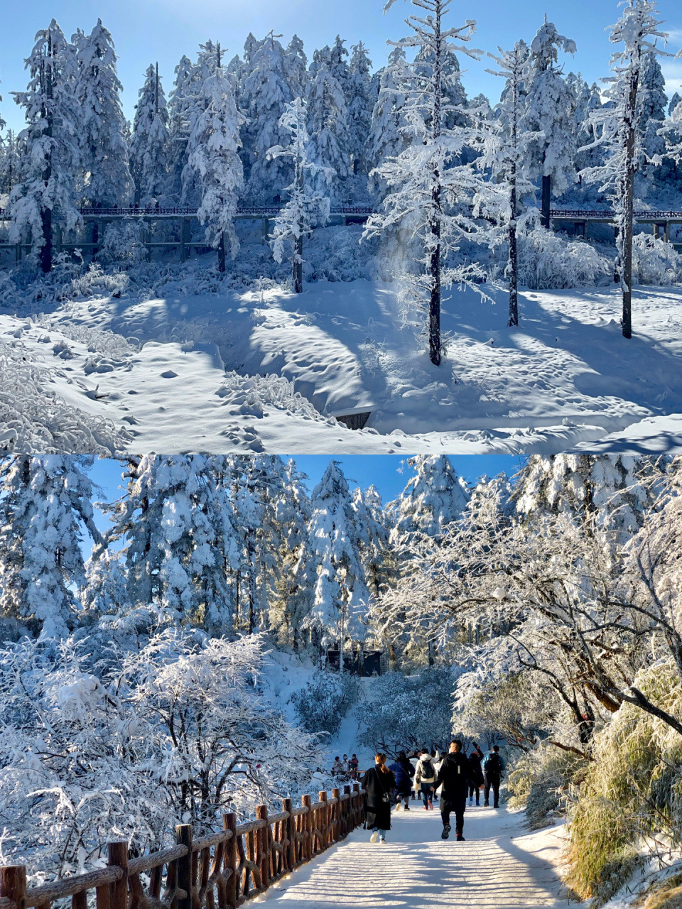 成都周边游|瓦屋山两天一夜自驾游攻略 成都市区—雅安—周公山—望鱼