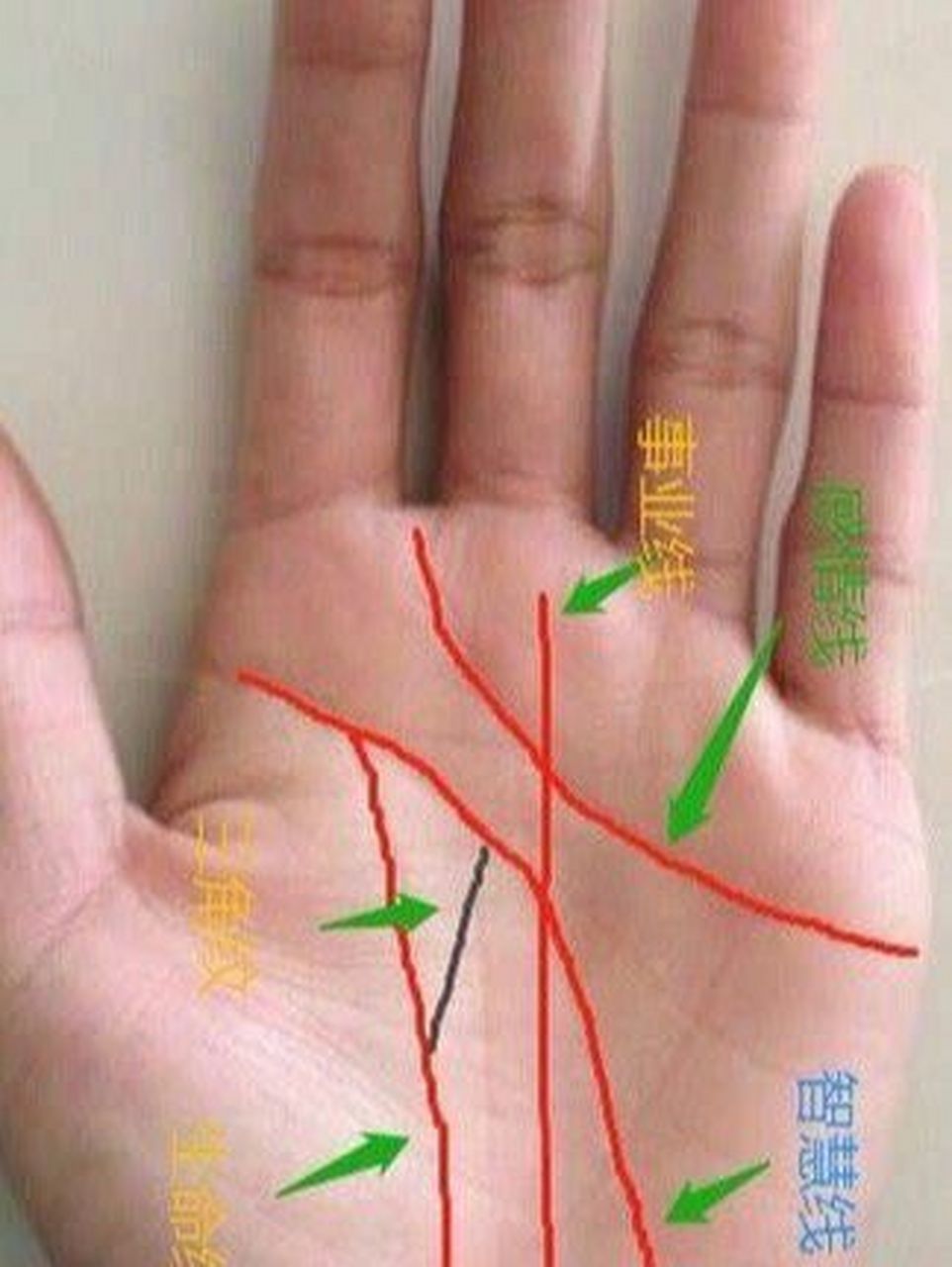 三角纹在手,富贵拥有!