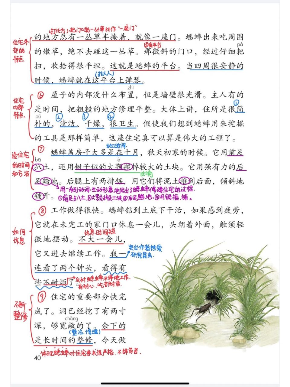 部编版四年级上11《蟋蟀的住宅》课堂笔记