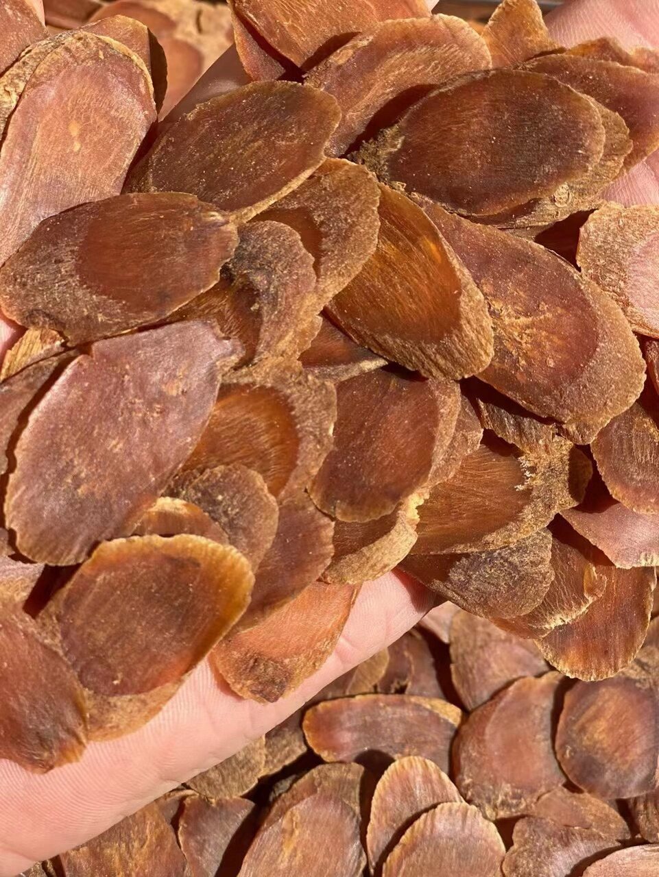 红参 精选特大红参片!