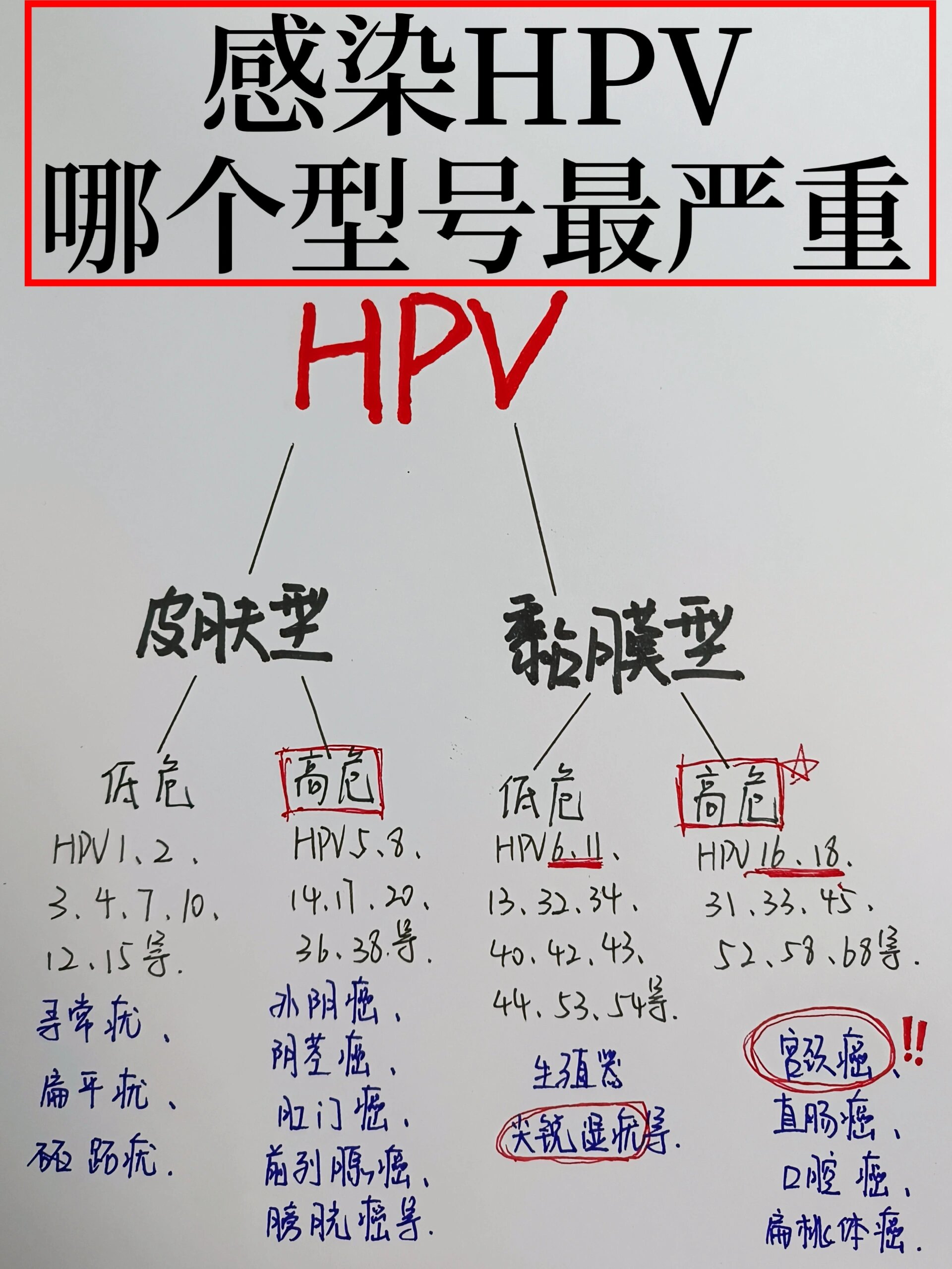 hpv感染,哪个型号最严重?