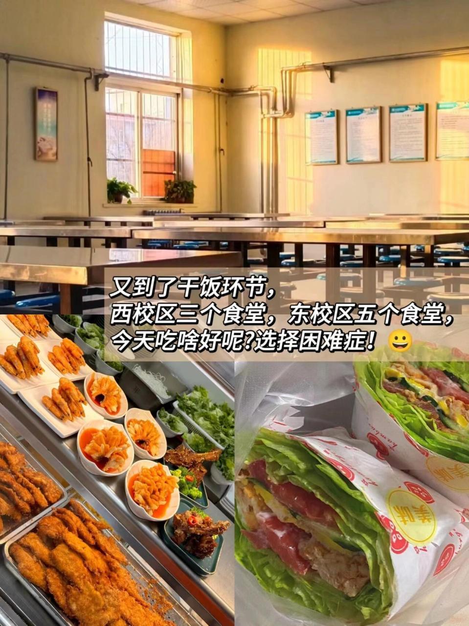 天津专升本|带你沉浸式上岸天津农学院96 想报考天津农学院的同学们