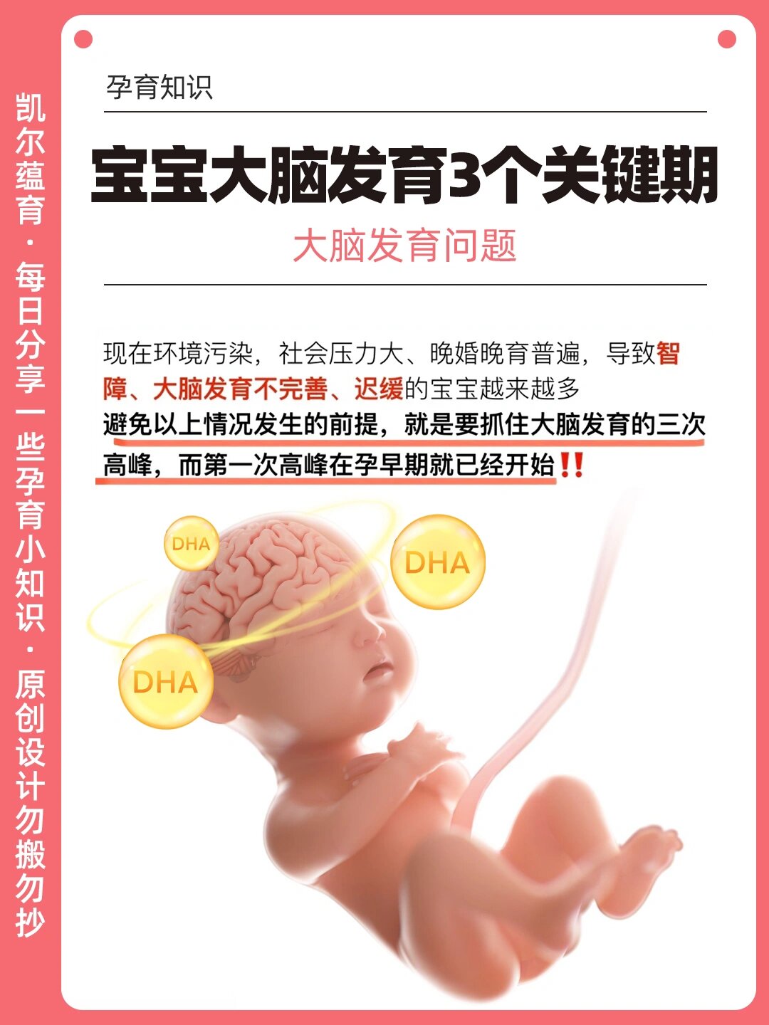 孕妈必看!宝宝大脑发育的3个关键期!