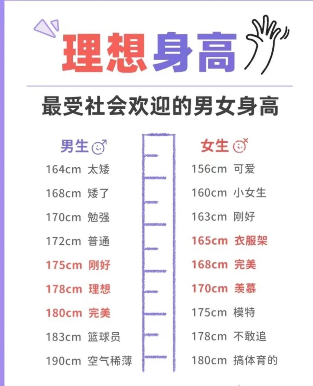 162和167身高比例图图片