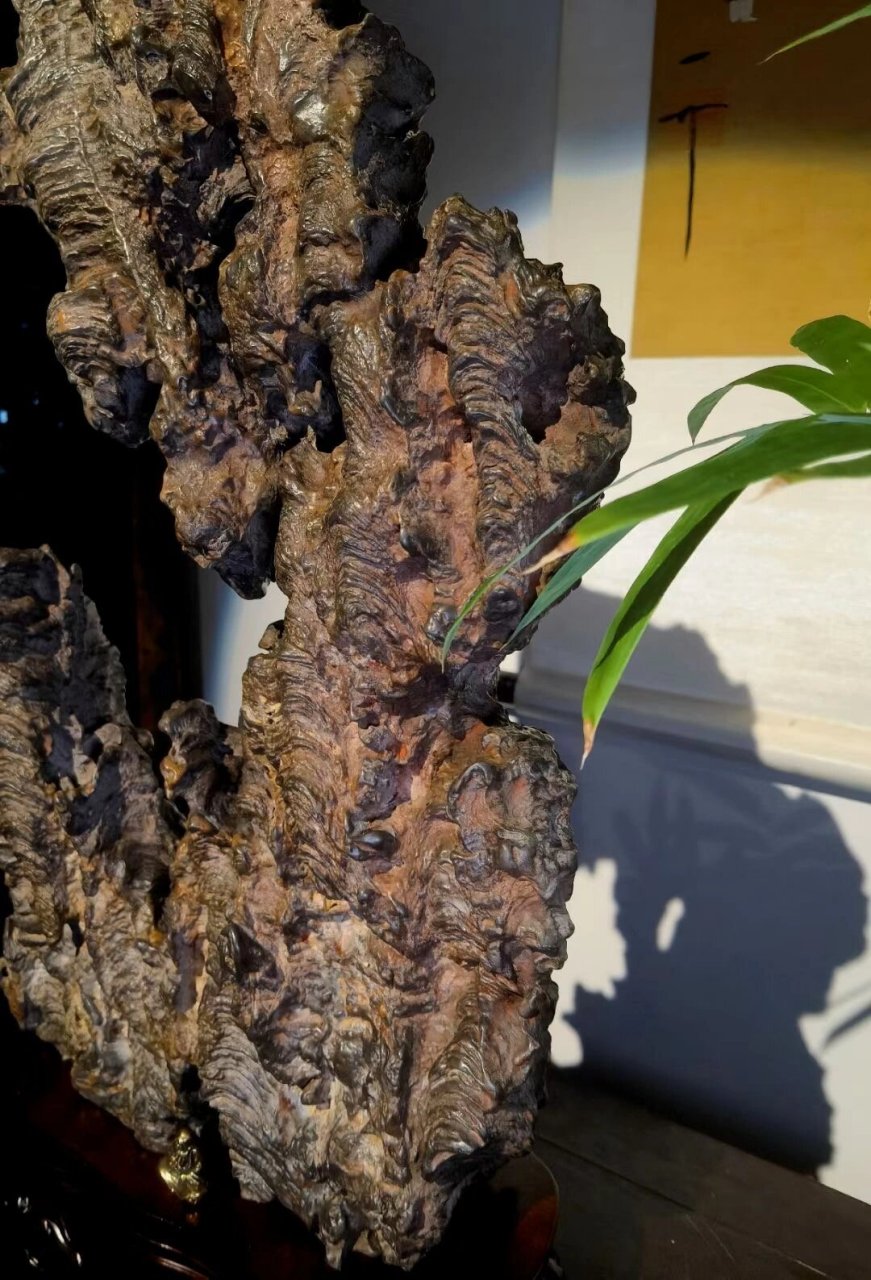 灵璧皖螺石 | 嶙峋仙山 灵璧皖螺石 | 嶙峋仙山 67石表纹理呈螺旋状