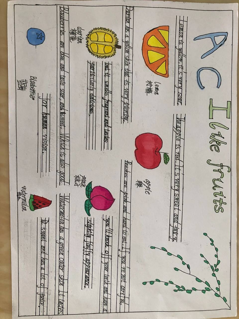 英语三年级下册第五单元手抄报