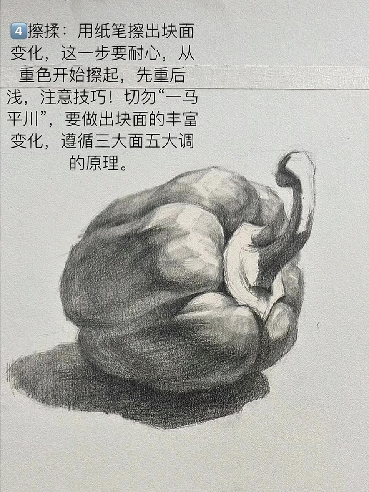 青椒素描画法步骤图片