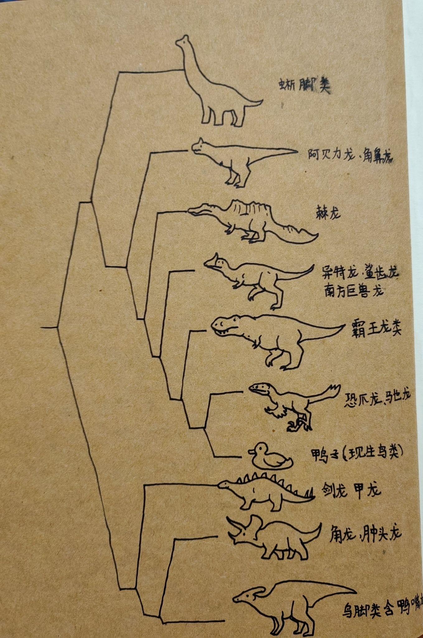 鸭嘴龙进化图片