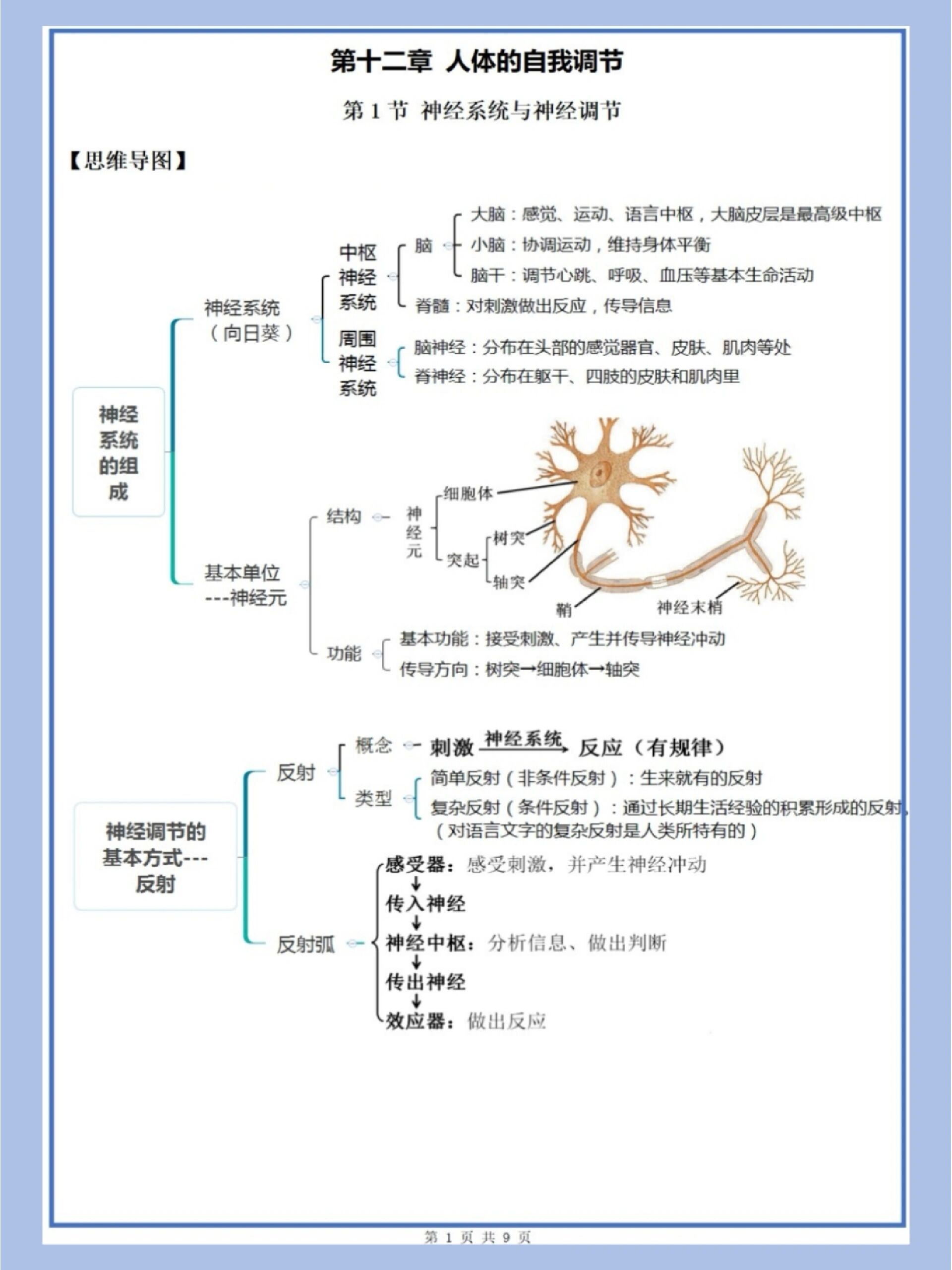 七年级下册生物第十二章思维导图