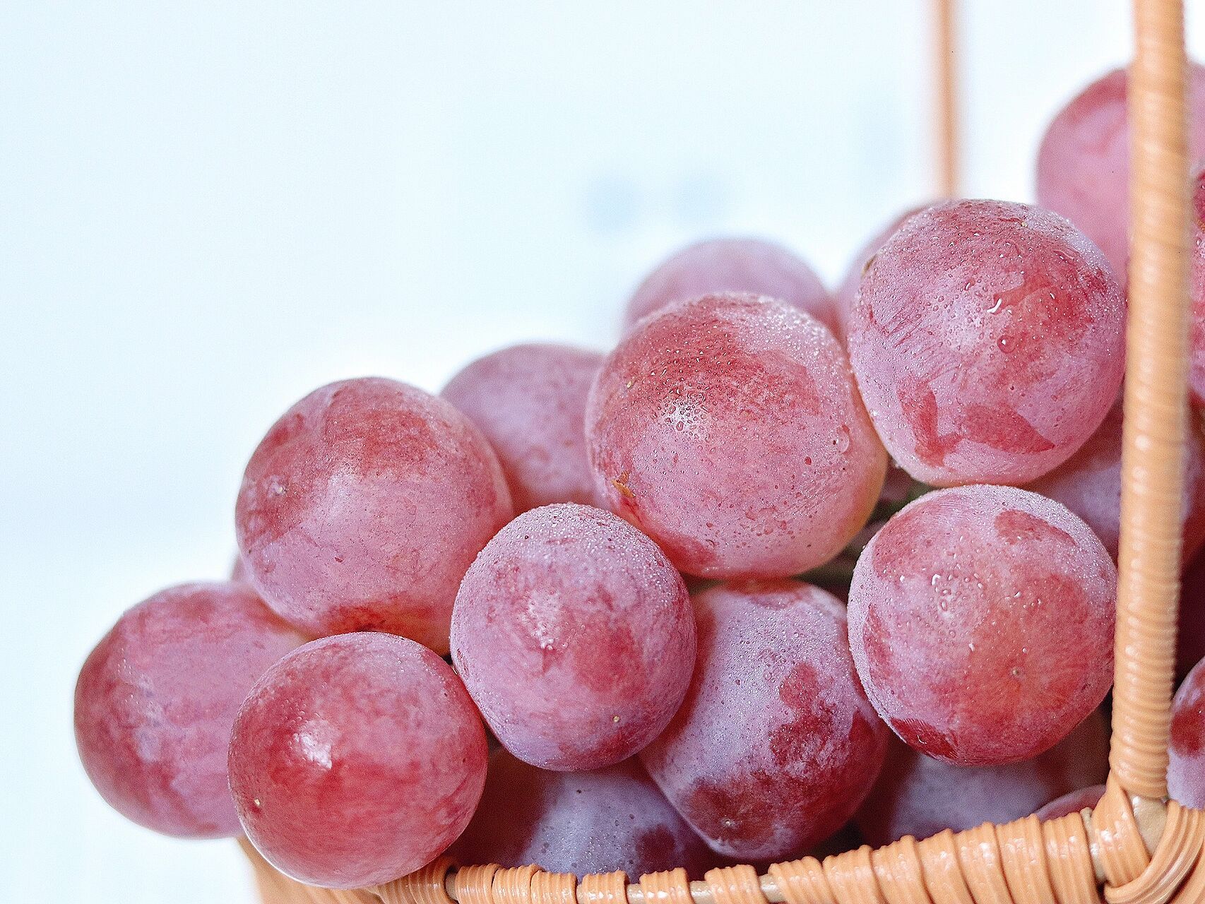 静物摄影|提子 - 水灵灵的大提子