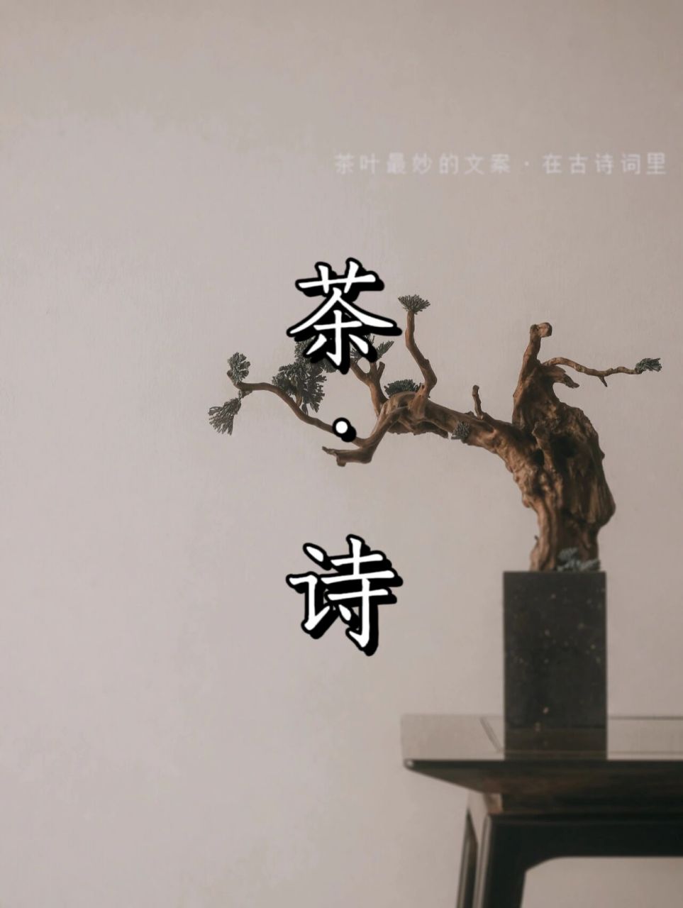 茶詩(二)|茶葉最妙的文案在古詩詞裡99 95寒夜客來茶當酒,竹爐湯