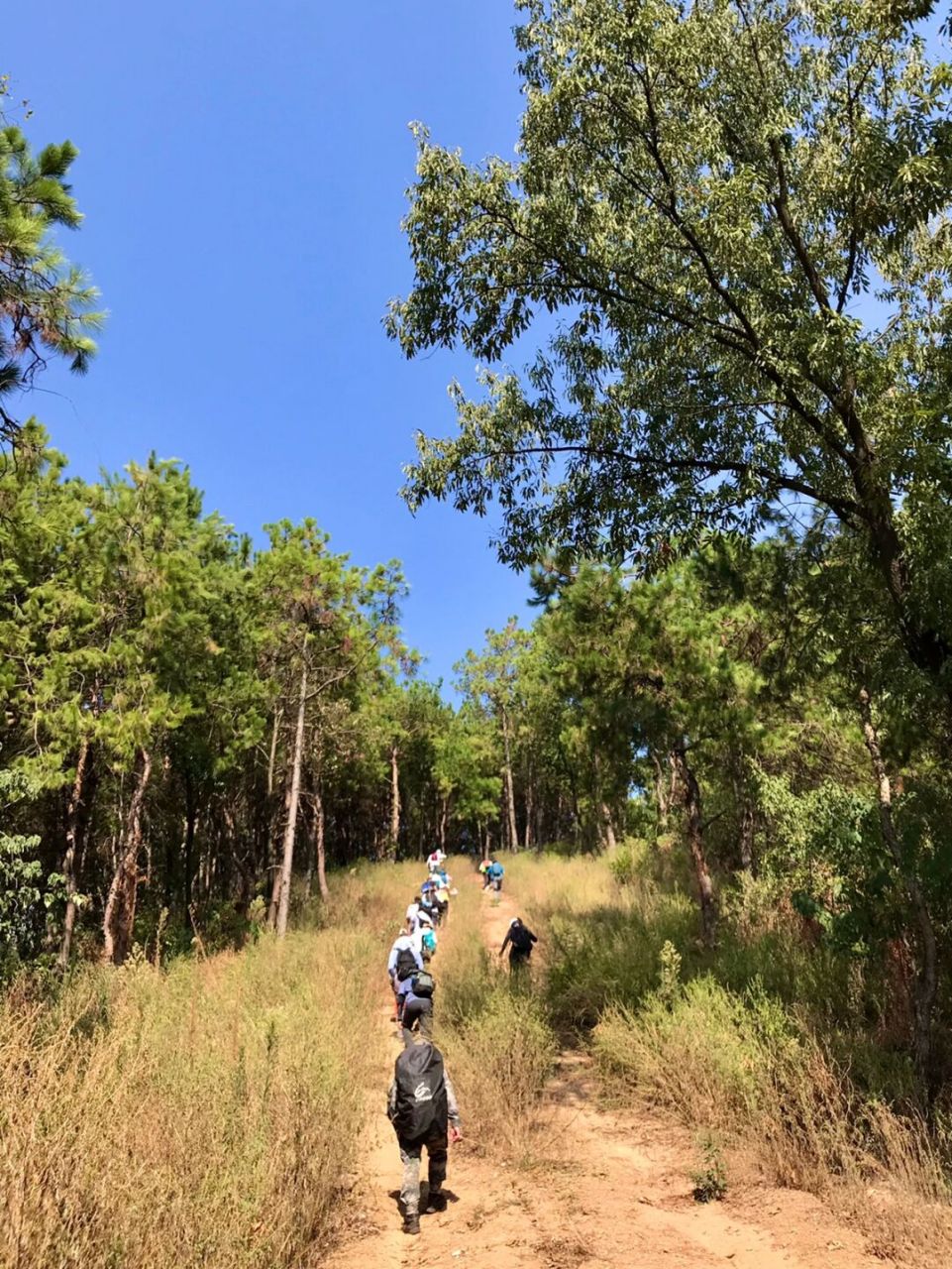 武漢九峰山的九座主峰徒步穿越 武漢九峰山國家森林公園裡坐落著寶蓋