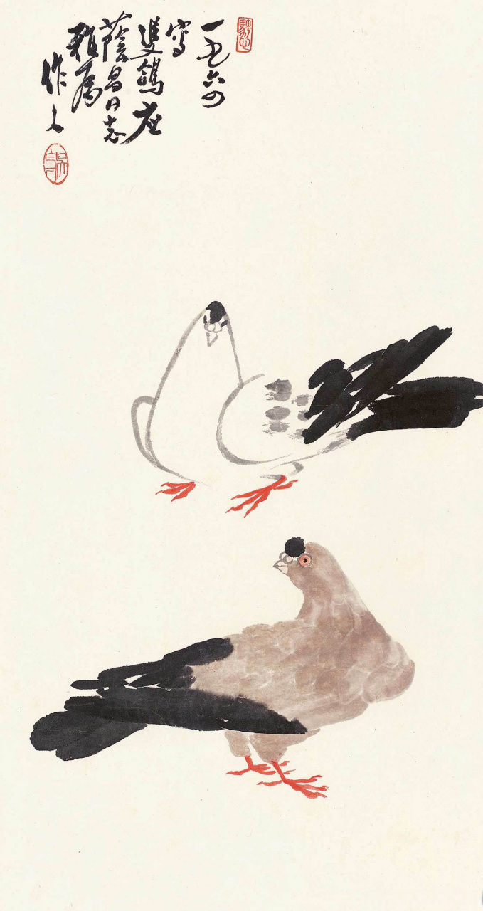 画家吴作人笔下的鸽子