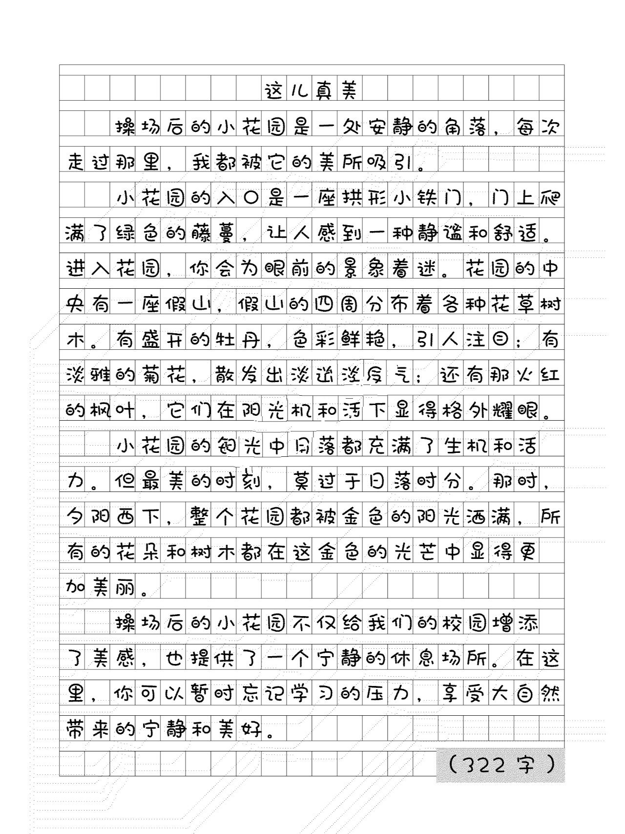 玩拼装积木日记300字图片