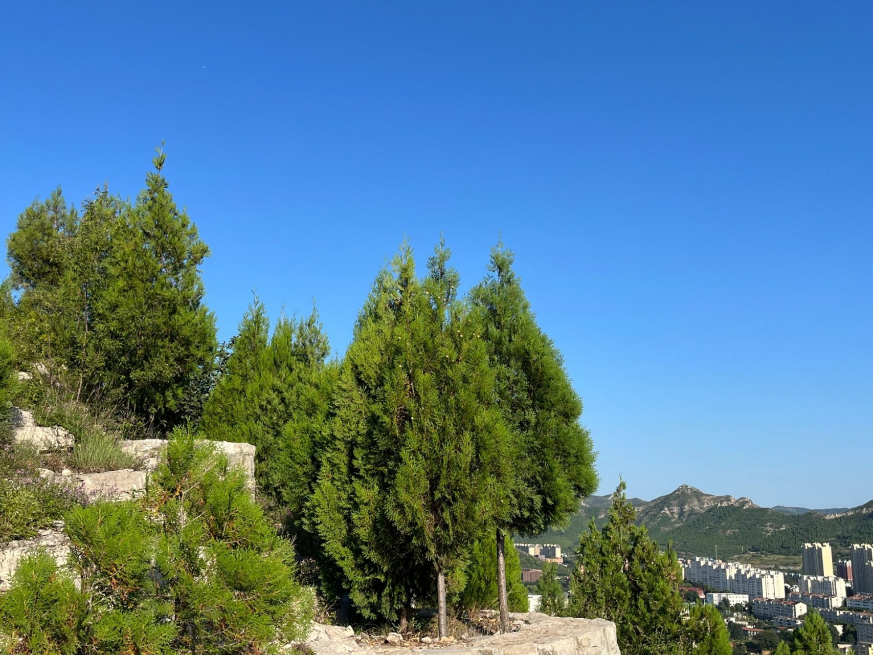 济南|秋天的蝎子山 济南的秋天短而美,每个阳光明媚的好天气都不敢让