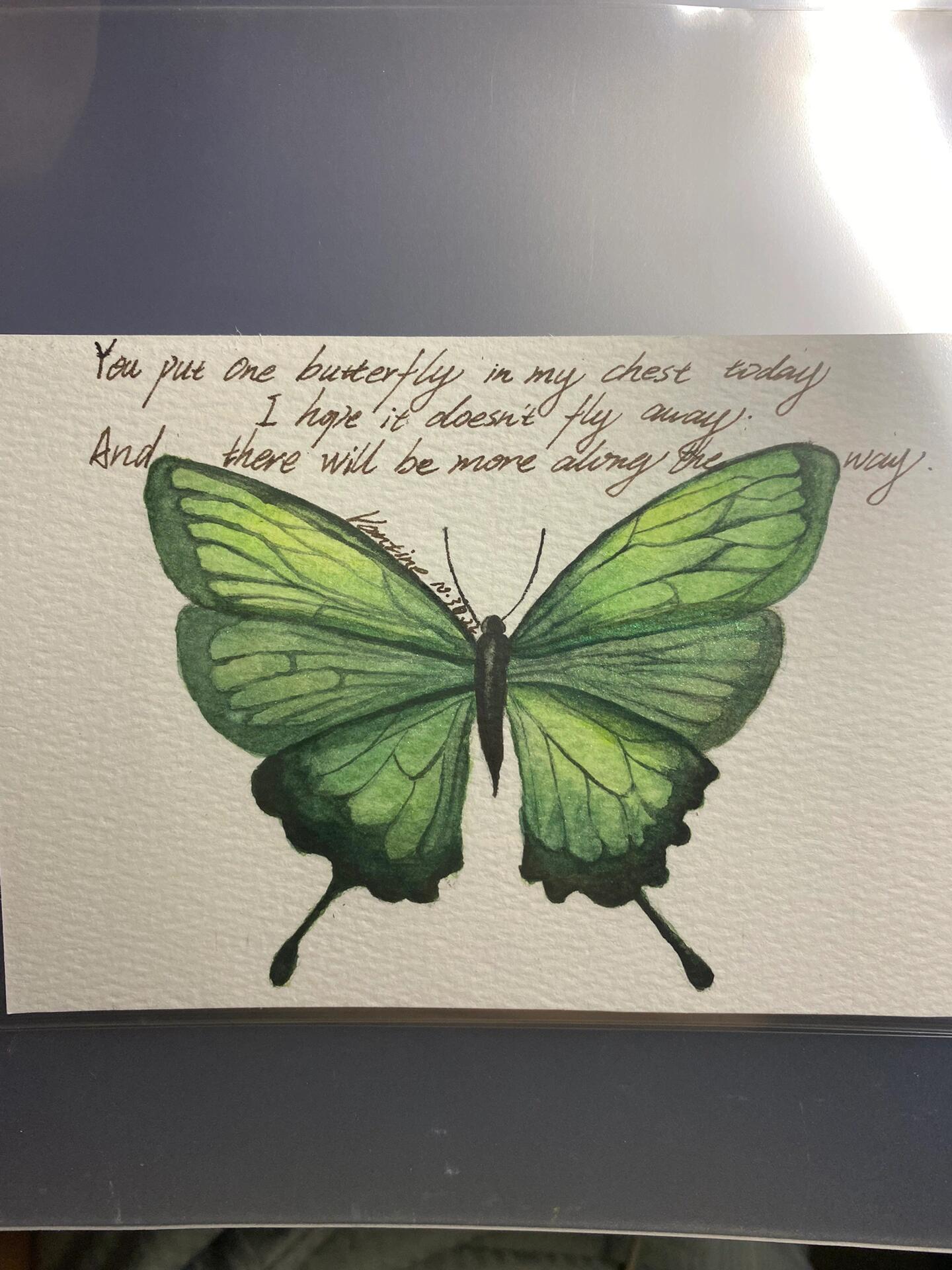 03水彩蝴蝶03|附步骤图 蝴蝶 butterfly 〔英] 迈克尔 61布洛克