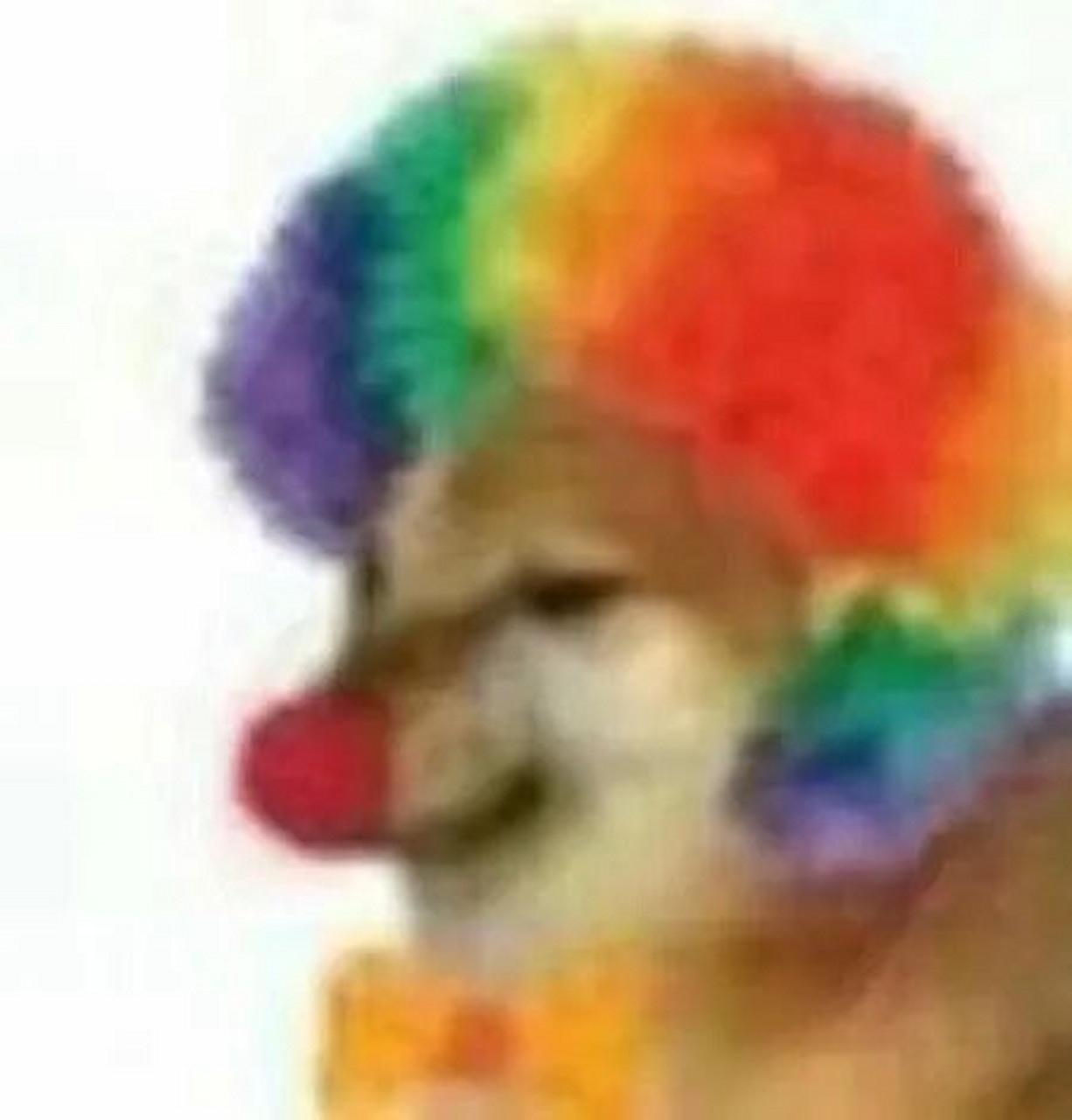 cheems狗(蛤蟆狗)表情包合集② cheems狗 cheems是一只表情忧郁且瘫坐