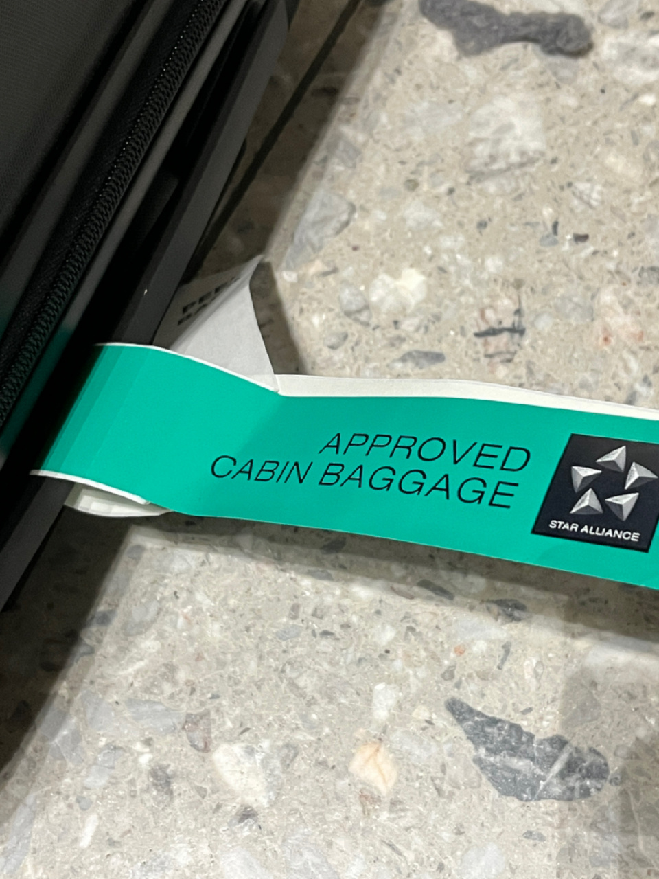 每个人都查 ————————