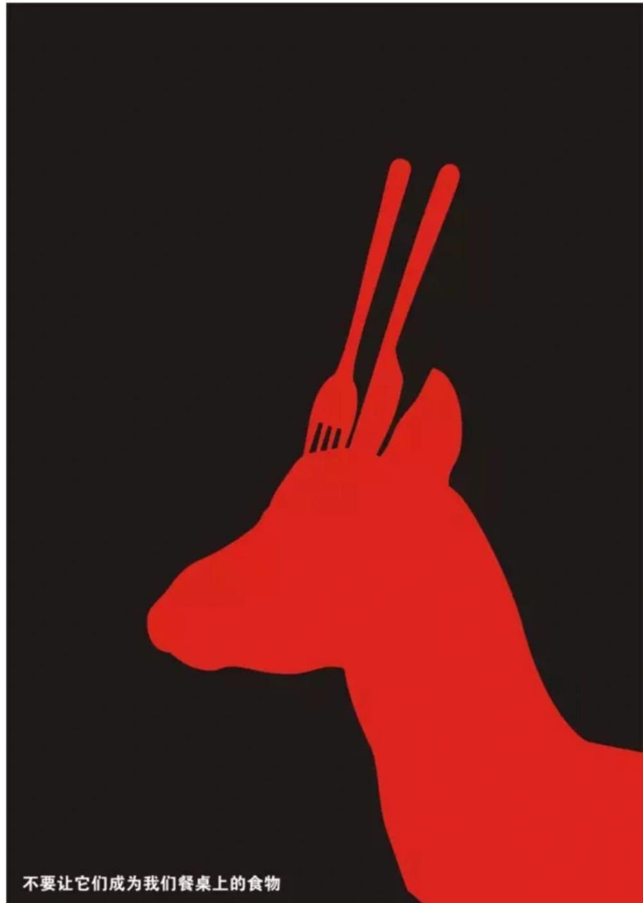 今日分享一组以保护动物为主题的海报,你们喜欢吗?