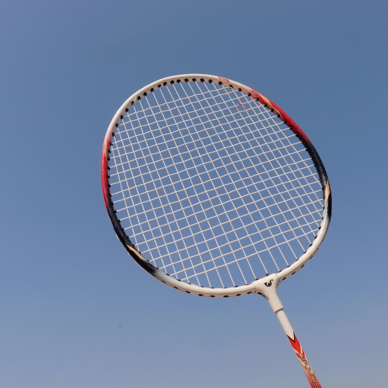 朋友圈分享|今天是运动girl96|羽毛球拍照 96 运不运动不重要