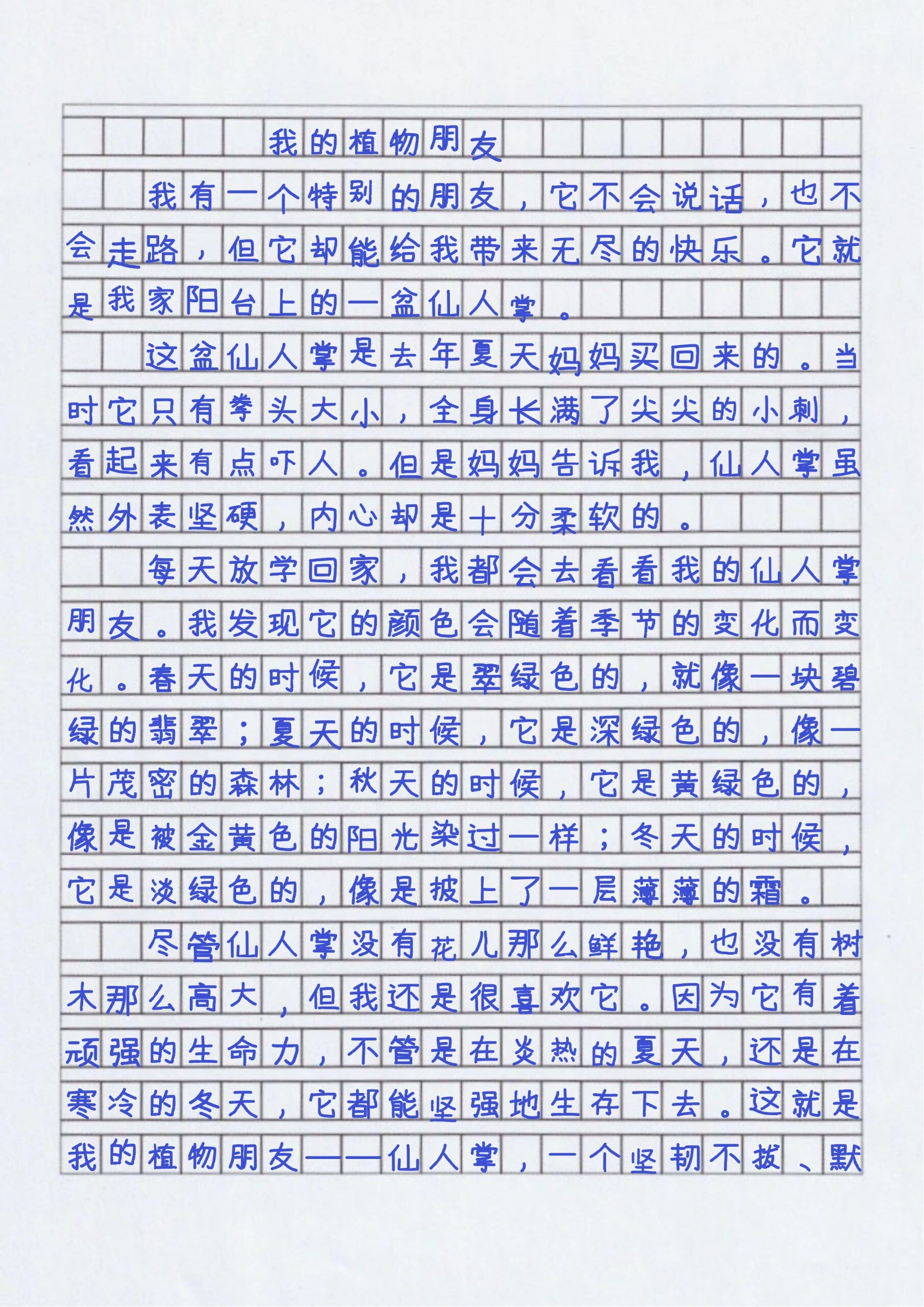 我最喜欢的植物300个字图片