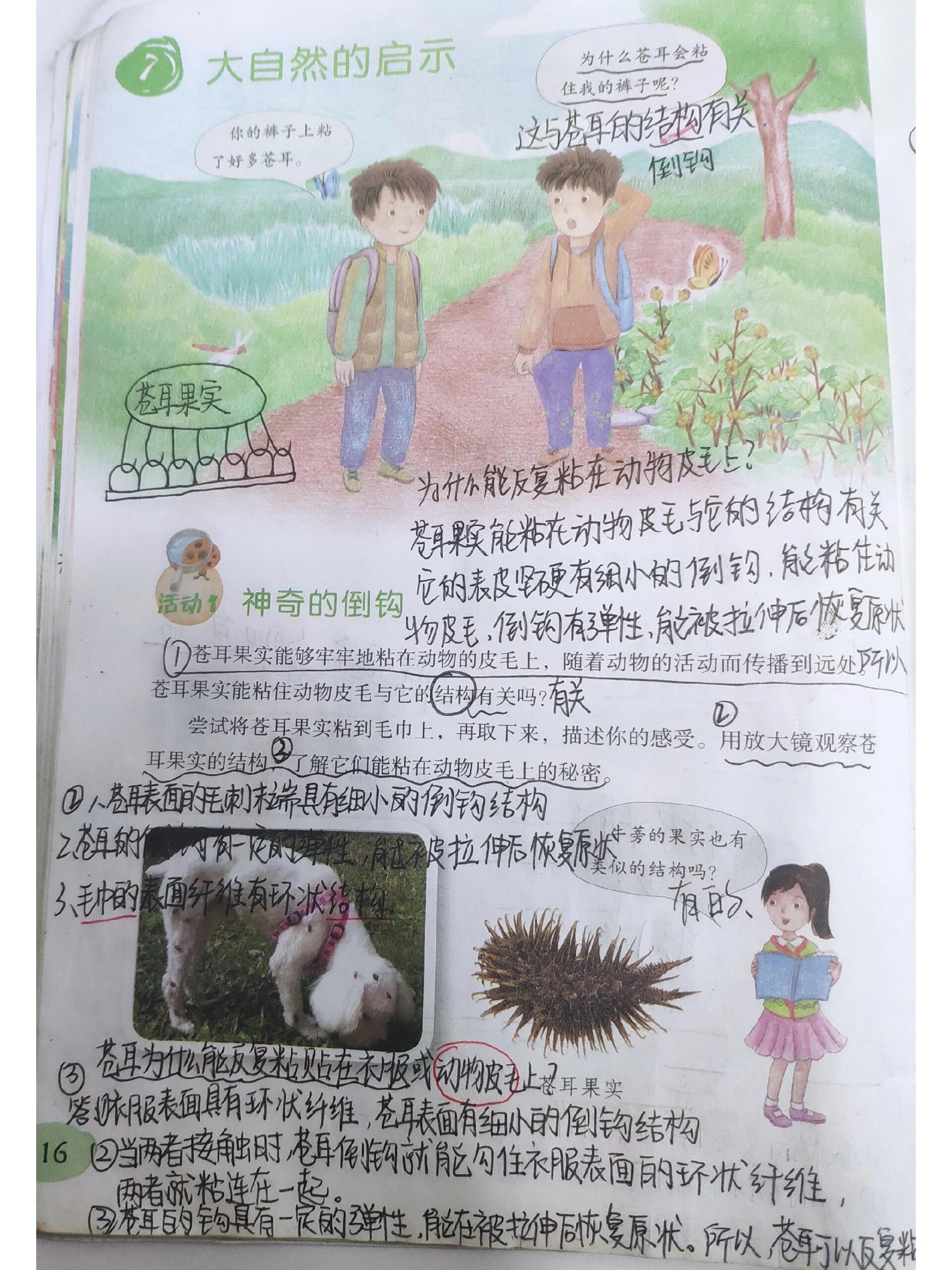 第7课《大自然的启示》