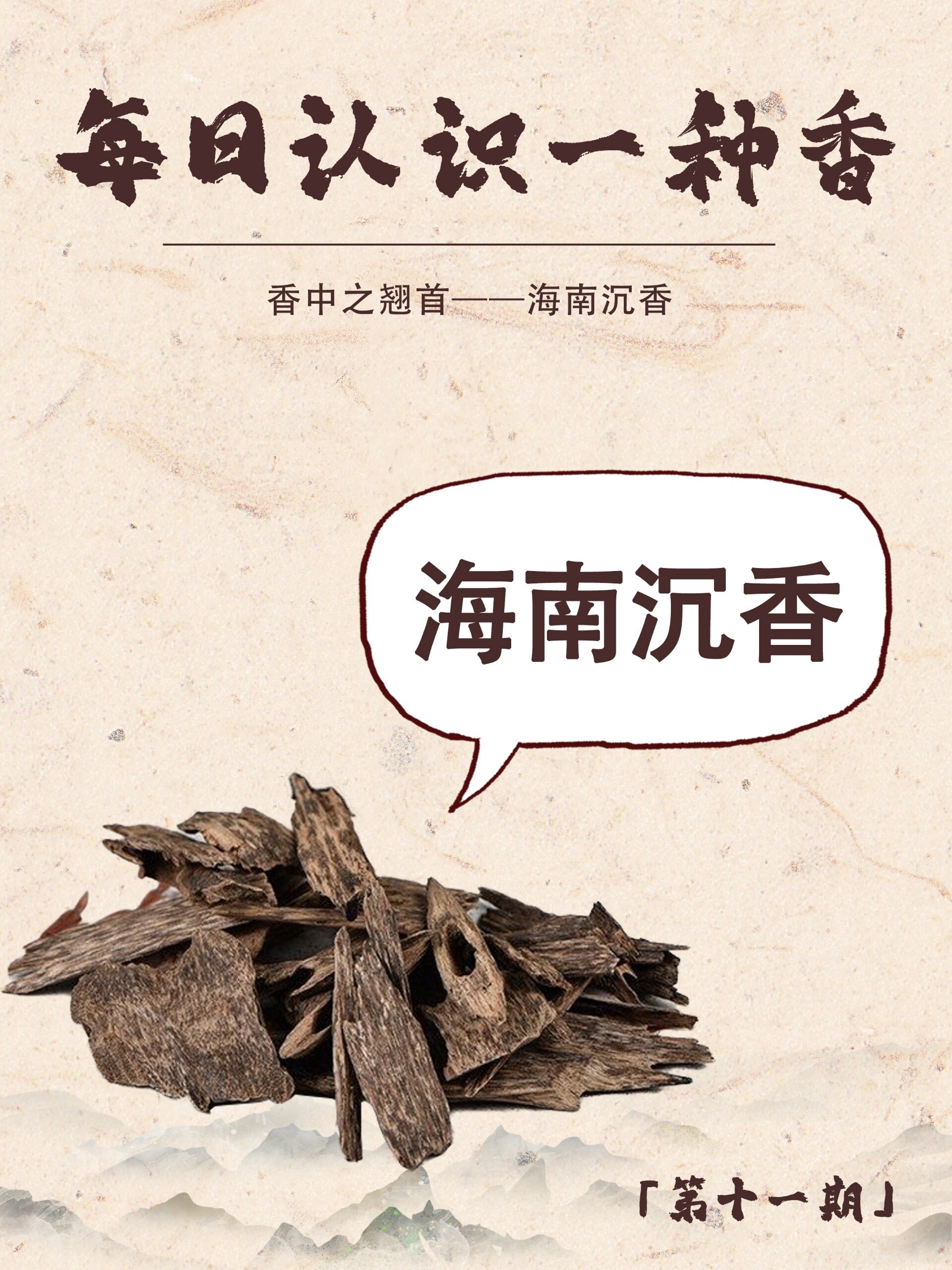 一分钟带你了解海南沉香 海南沉香集天地之灵气,汇日月之精华,蒙岁月