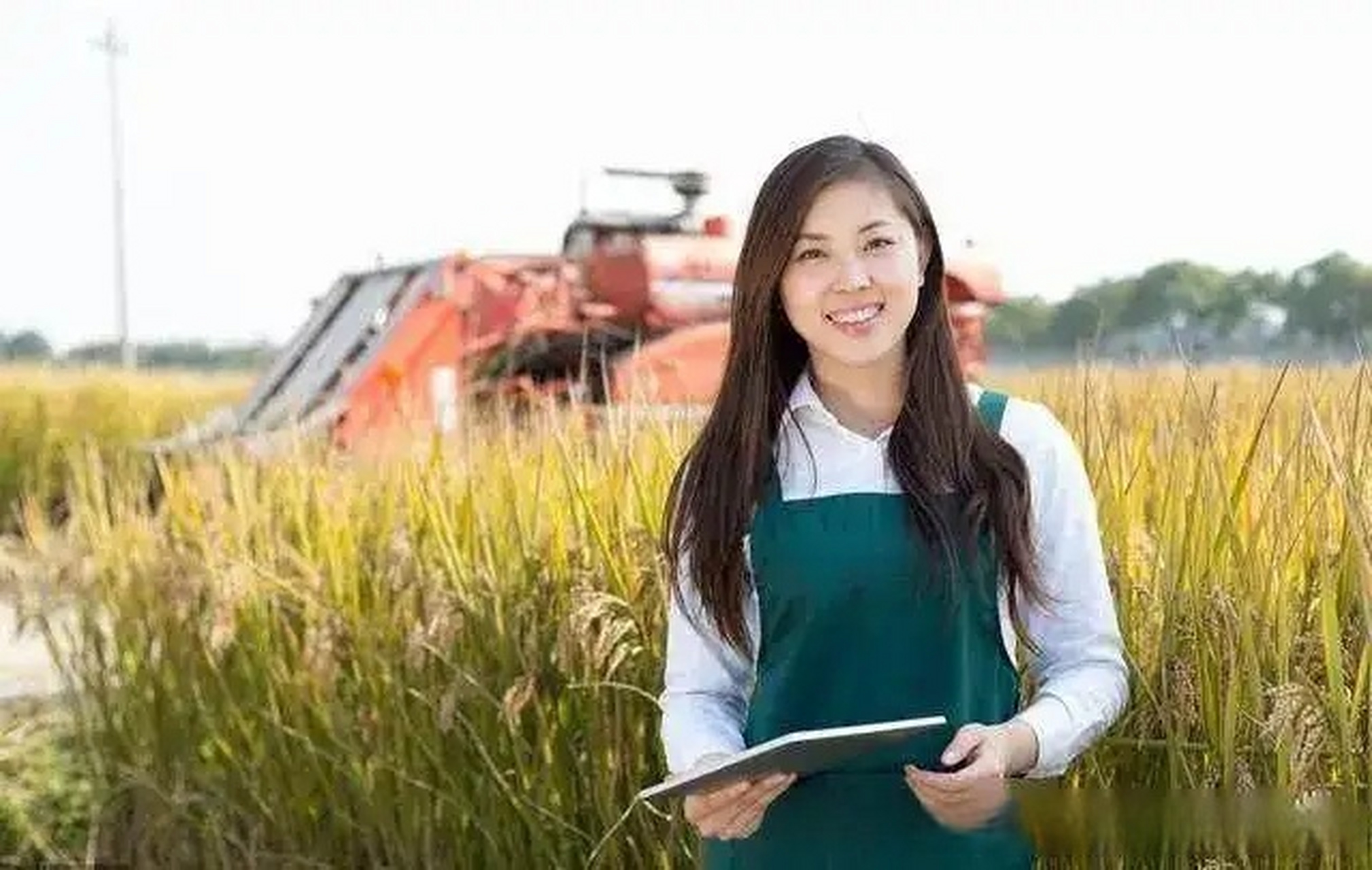 大家好,我是刘老师,根据上期我们继续讲解的农业职业经理人的相关