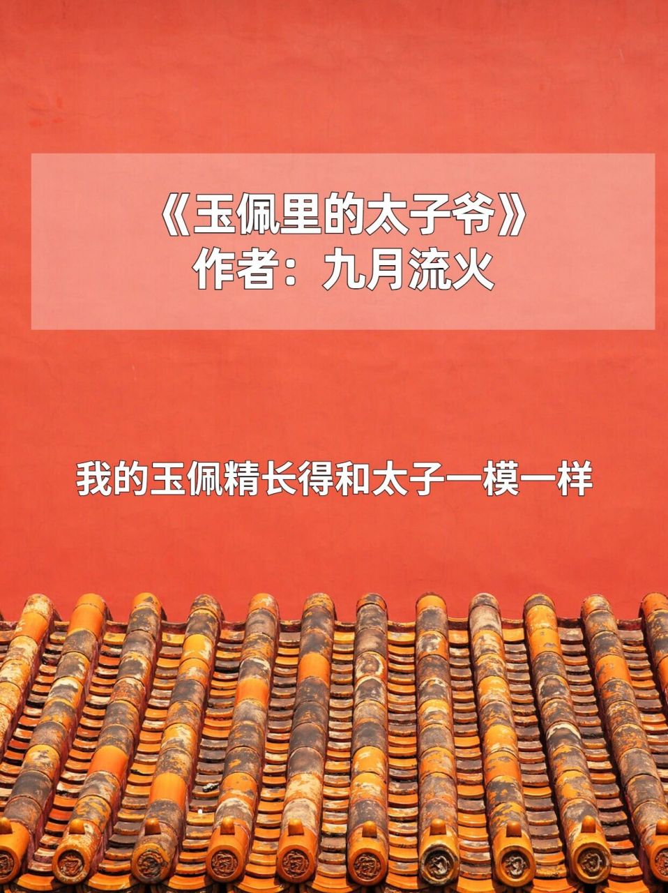 宅斗 宫斗文 《玉佩里的太子爷》 《玉佩里的太子爷》作者:九月流火