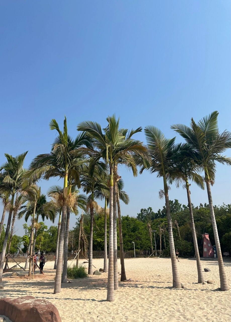 西昌 | 金鳞沙滩 9215