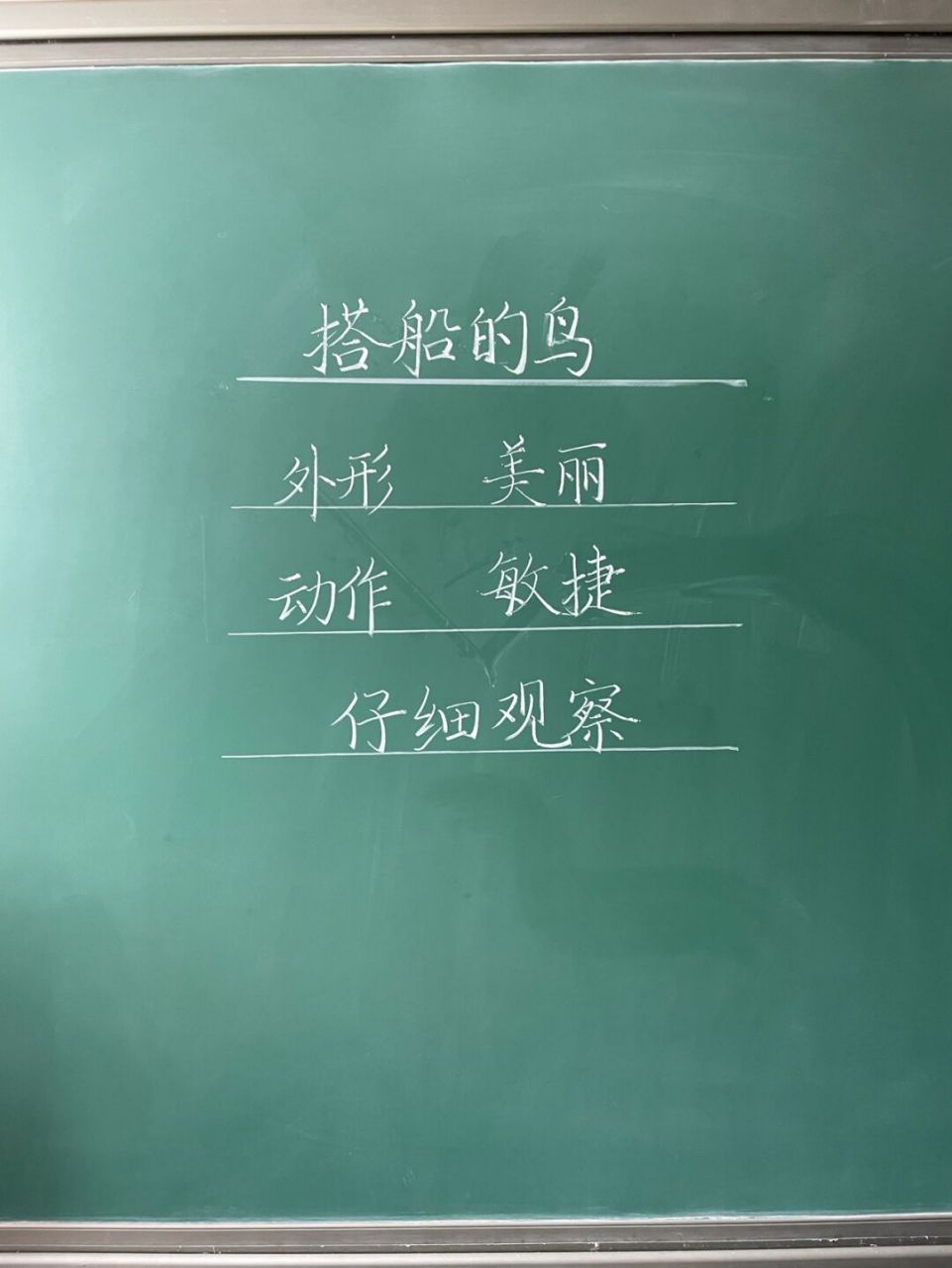 三年级上册《搭船的鸟》公开课 #小学语文板书设计# #板书设计# #小学