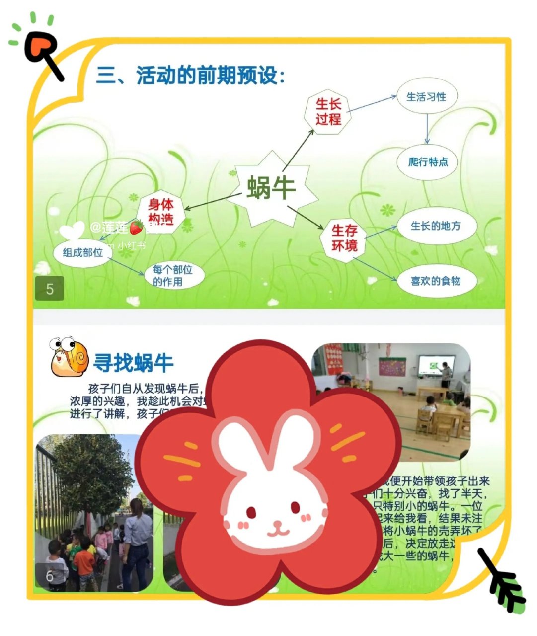 幼儿园小班生成课《蜗牛》     幼儿园班本课程ppt