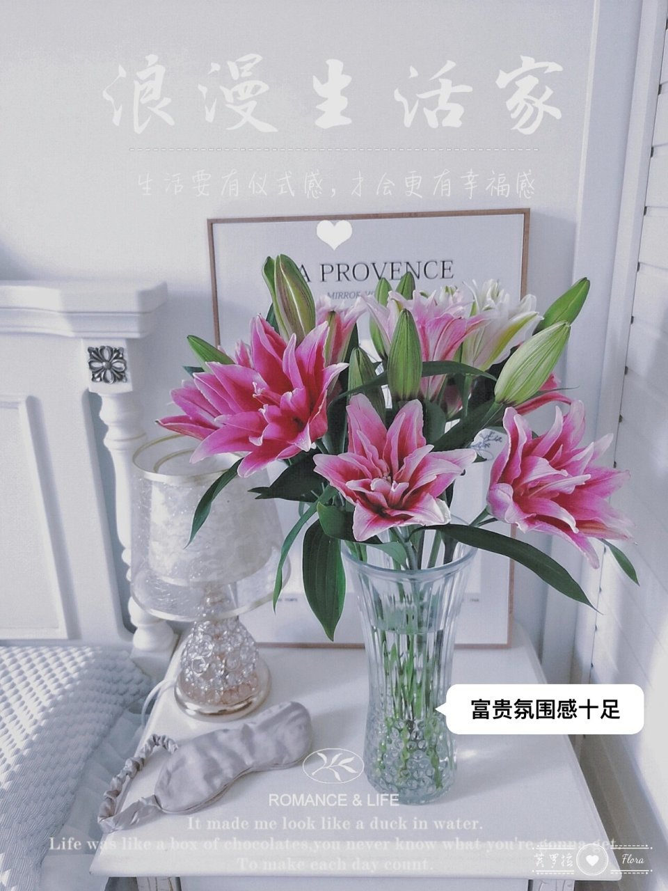 华丽仙气的人间富贵花| 太平盛世 重瓣百合 图片都是第一天醒花后拍得