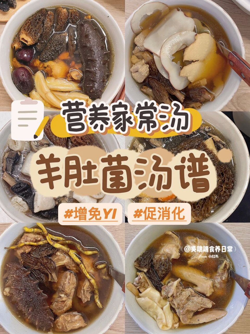 适合秋冬喝的羊肚菌汤谱做法分享 91羊肚菌被称为"菌中之95"