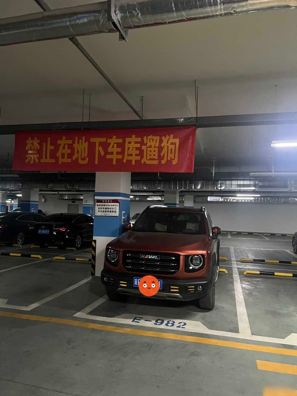 大狗:条幅拉我上面几个意思!
