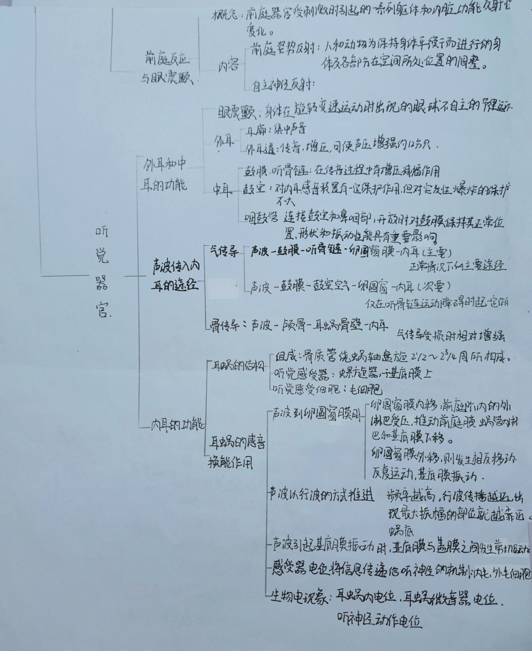 生理学思维导图