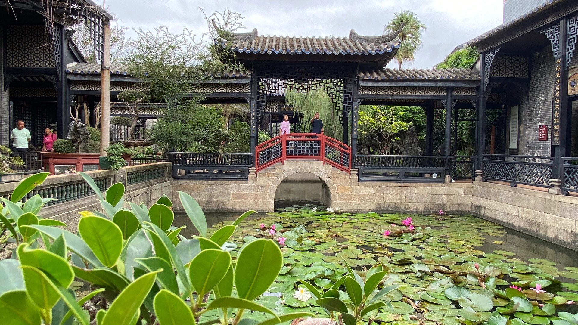 边走边画|46/180 广州61余荫山房～瑜园孔雀亭 今天去游览了广东