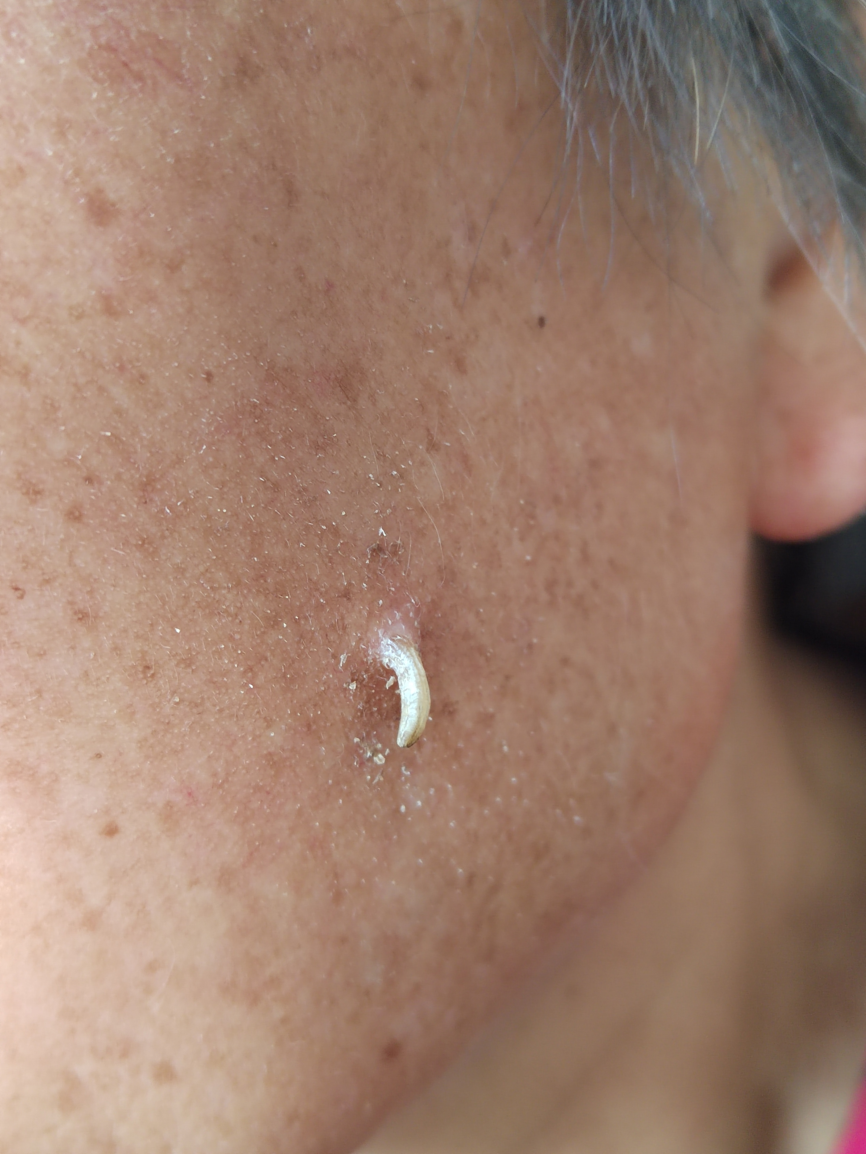 纪秀军皮肤科主任医师的动态