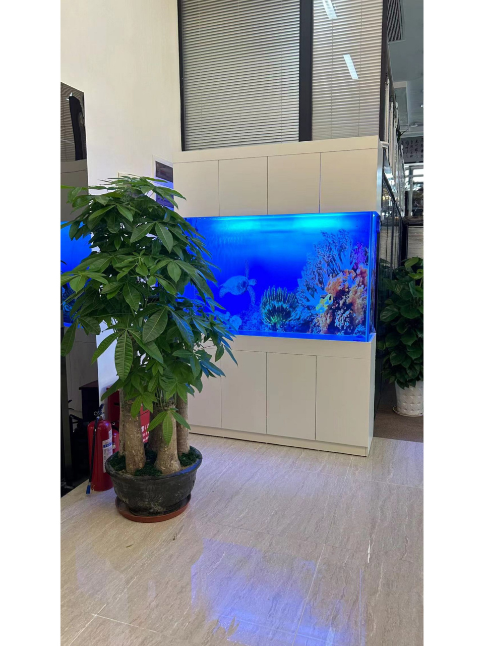 办公室鱼缸这样放,绝对招财 量身定制高端大气上档次 .