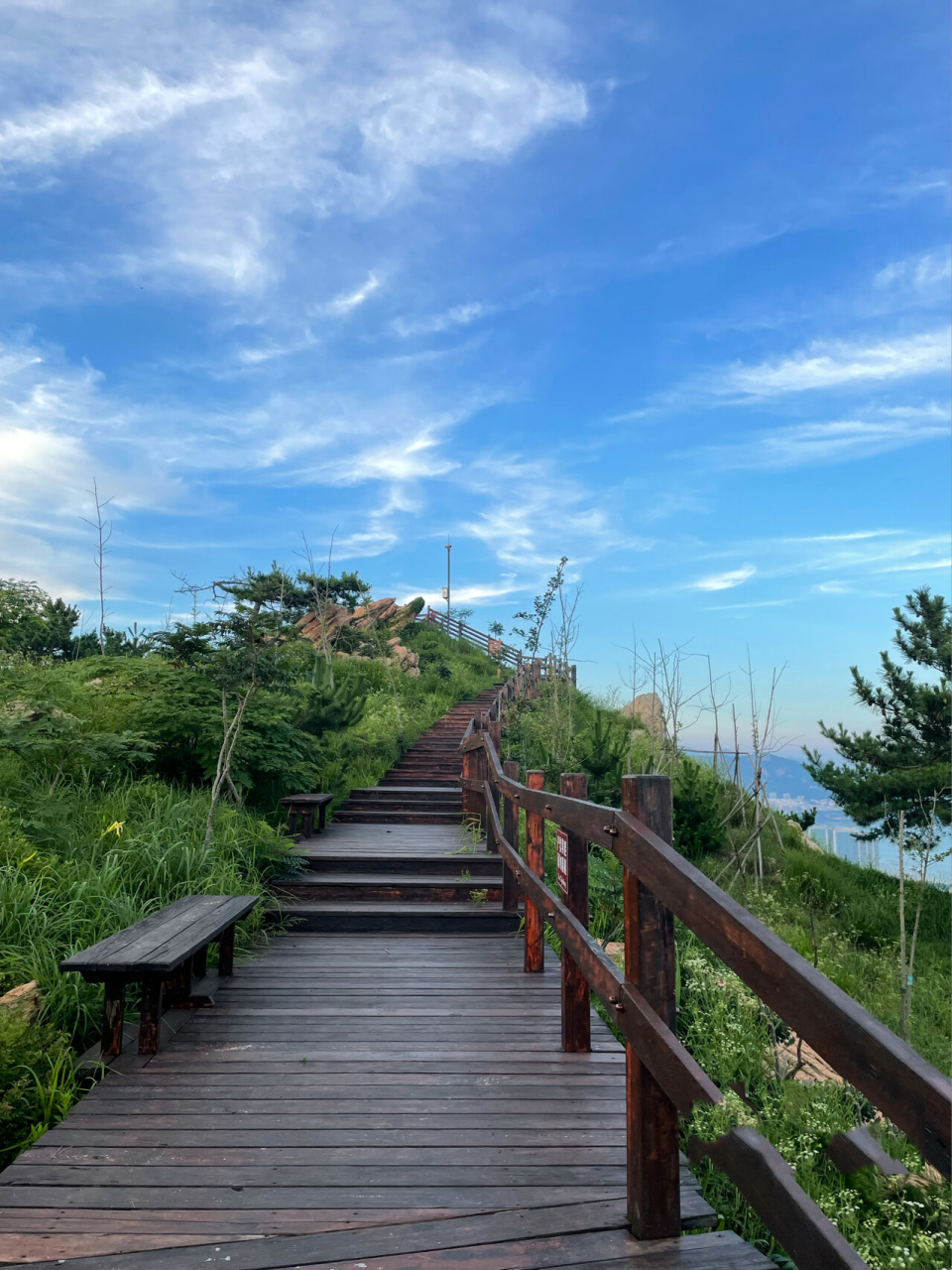 大美浮山 饭后来浮山森林公园散步,登顶俯瞰城市和大海,微风徐徐,心情