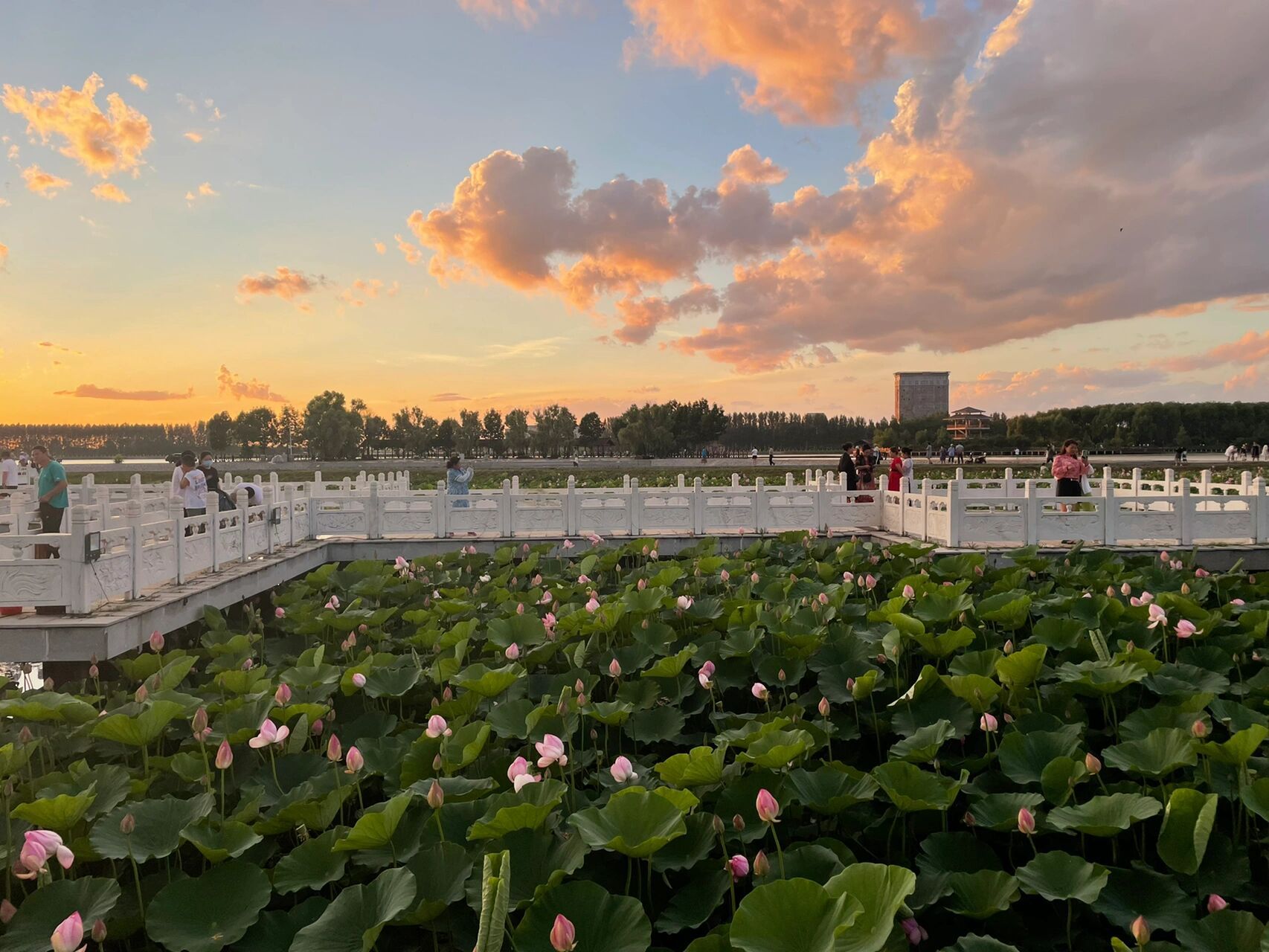 方正县的全民运动设施做得很好,有很多运动场地,运动氛围很浓.