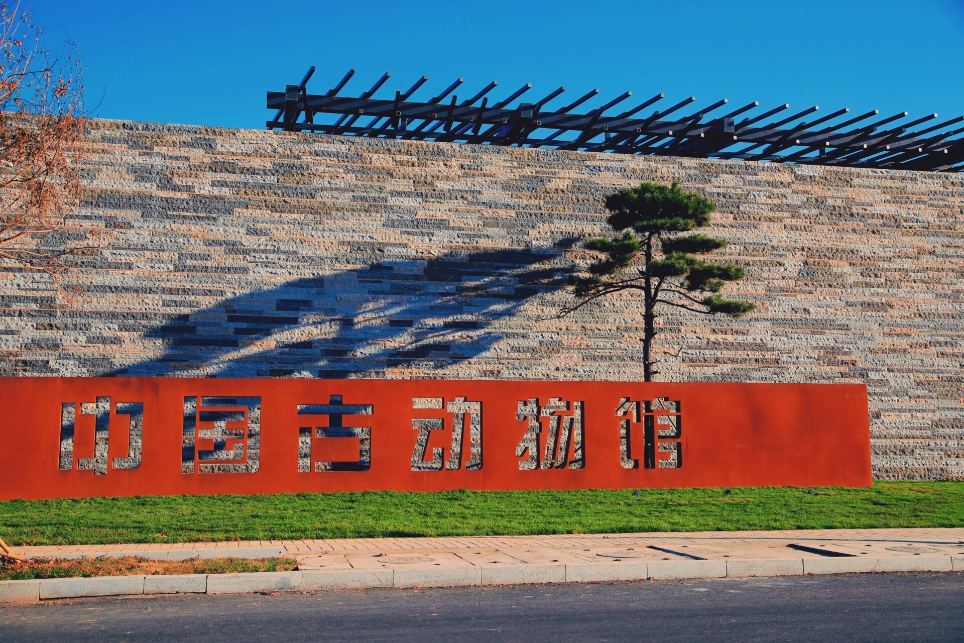 保定city walk-中国古动物馆 别再相信网上的传言了!