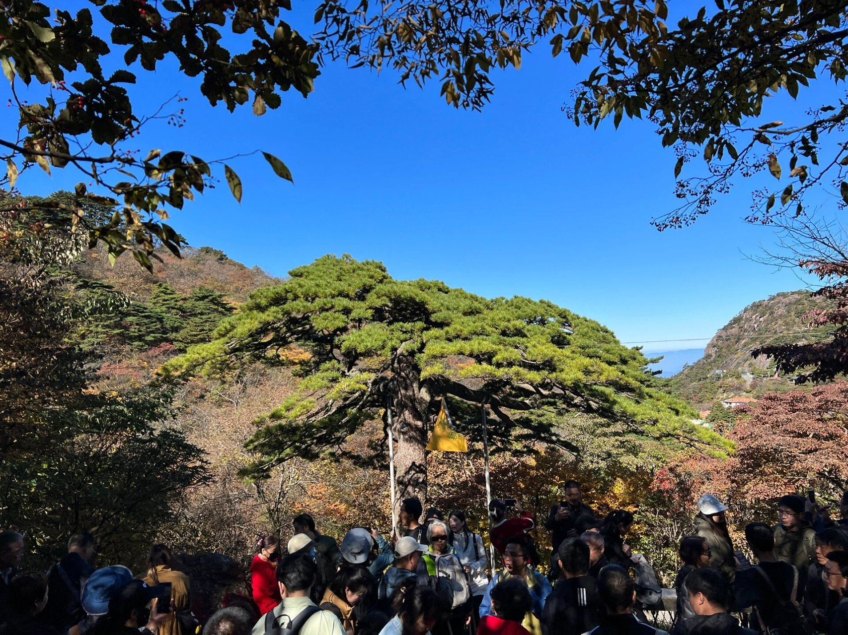 黃山頂食宿推薦(看雲海)92 按照2日遊路線第一天玉屏索道上,第二天