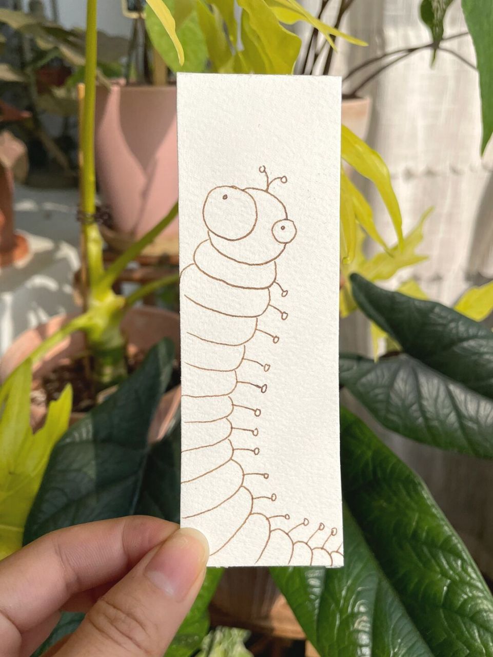 画100只动物,打卡第44张,千足虫,把恐怖的虫子画可爱 临摹发布@我即可