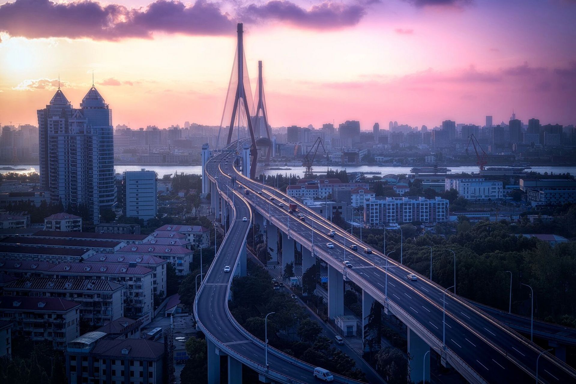 上海城市风光|杨浦大桥