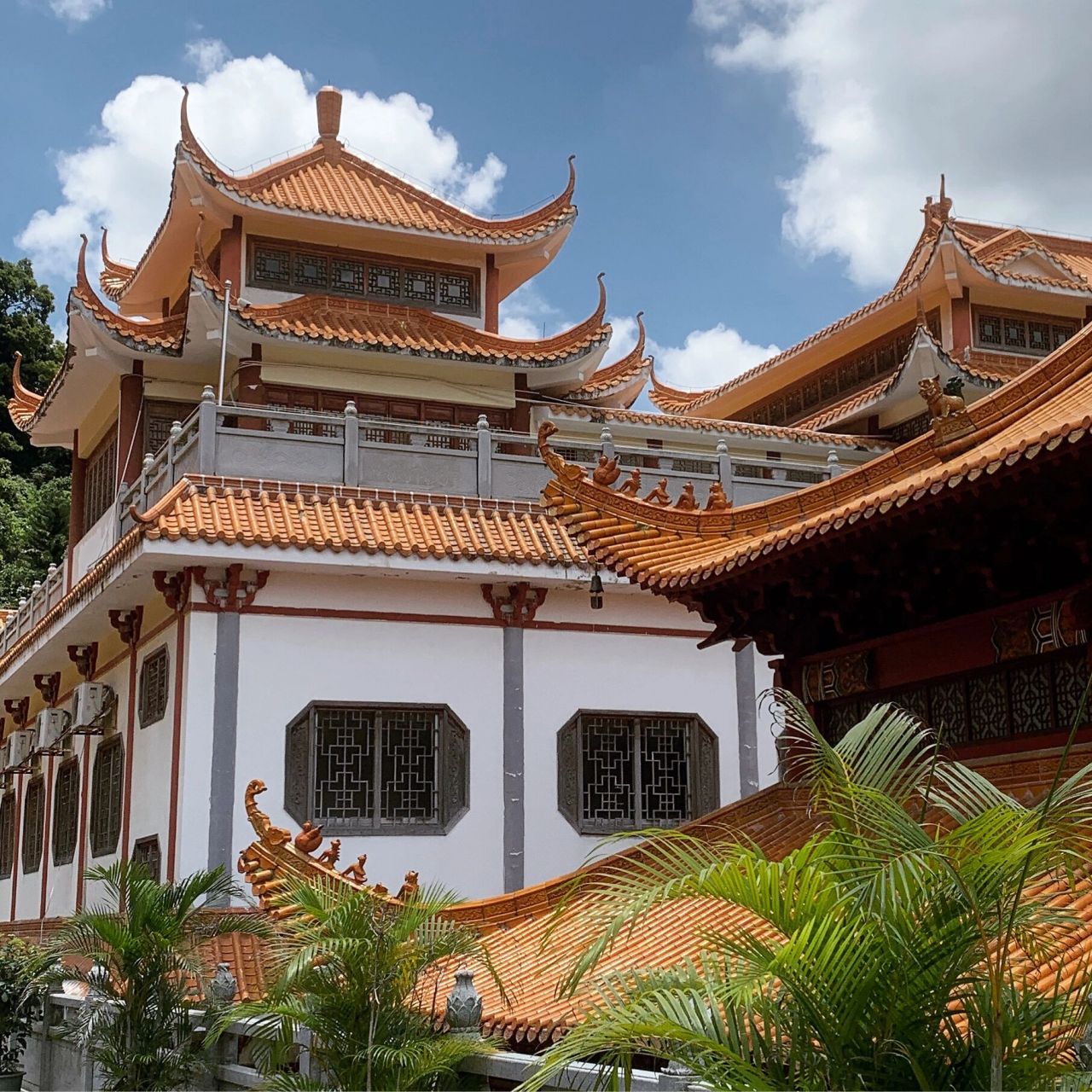 灵修胜地Ⅰ弘法寺全攻略  75弘法寺,位于深圳市仙湖植物园内,背靠