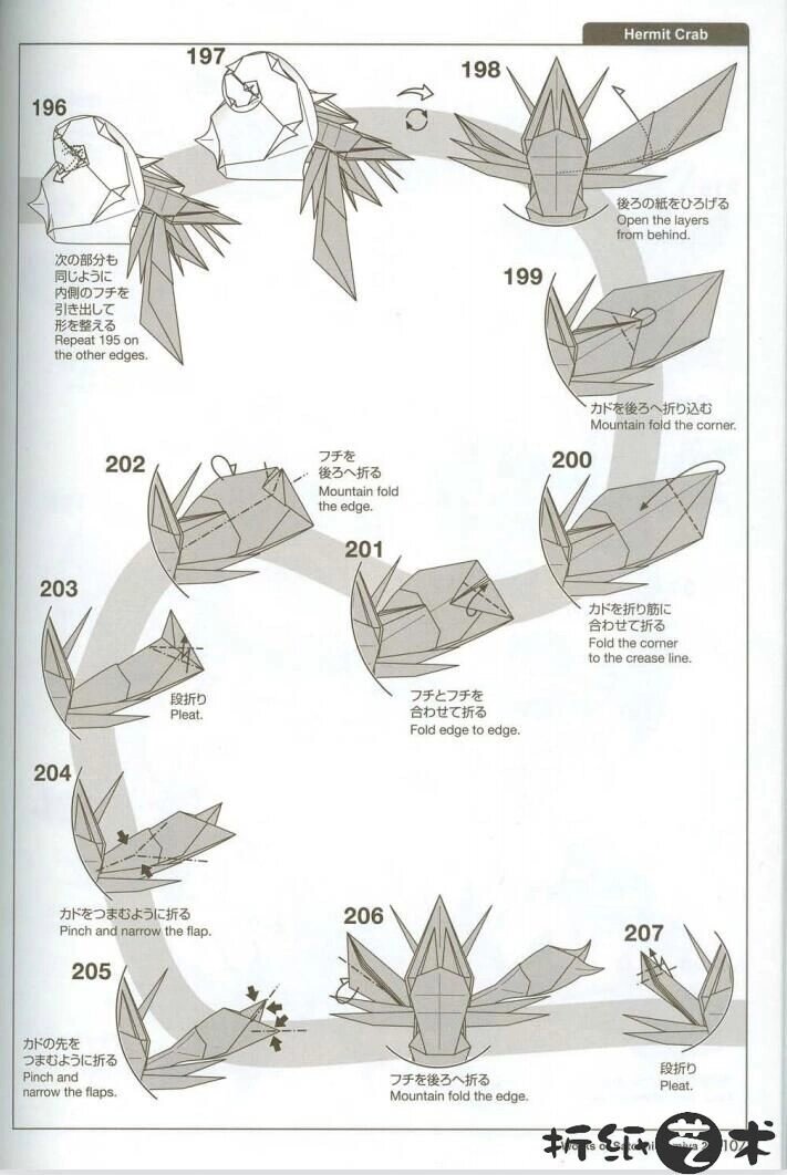 寄居蟹折纸教程